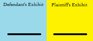 Trial Exhibit Procedure - Jury Evidence Recording System (JERS) Requirements